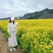 ヒメ日記 2026/03/25 18:54 投稿 ももこ 奥鉄オクテツ東京店（デリヘル市場）