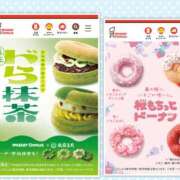 ヒメ日記 2026/03/27 23:44 投稿 ももこ 奥鉄オクテツ東京店（デリヘル市場）