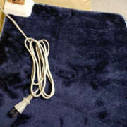 ヒメ日記 2026/04/05 19:30 投稿 ももこ 奥鉄オクテツ東京店（デリヘル市場）