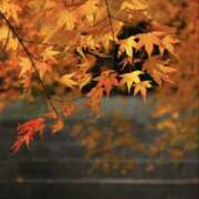 ヒメ日記 2024/12/09 07:58 投稿 らんか 奥鉄オクテツ東京店（デリヘル市場）