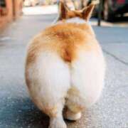 ヒメ日記 2025/01/04 21:41 投稿 らんか 奥鉄オクテツ東京店（デリヘル市場）