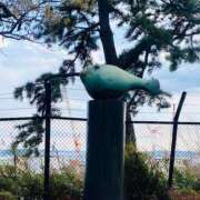 ヒメ日記 2025/04/08 12:38 投稿 らんか 奥鉄オクテツ東京店（デリヘル市場）