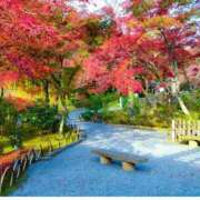 ヒメ日記 2025/11/09 21:00 投稿 らんか 奥鉄オクテツ東京店（デリヘル市場）