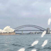 ヒメ日記 2025/12/15 11:41 投稿 らんか 奥鉄オクテツ東京店（デリヘル市場）