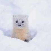 ヒメ日記 2026/03/28 18:33 投稿 らんか 奥鉄オクテツ東京店（デリヘル市場）