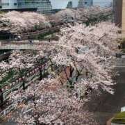 ヒメ日記 2026/04/04 23:15 投稿 みなみ 奥鉄オクテツ東京店（デリヘル市場）