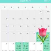 ヒメ日記 2025/11/24 10:32 投稿 あやな シークレットタッチ