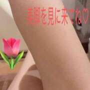 ヒメ日記 2025/12/30 10:06 投稿 あやな シークレットタッチ