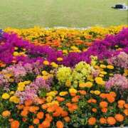 ヒメ日記 2025/04/21 15:53 投稿 ありさ 奥鉄オクテツ東京店（デリヘル市場）