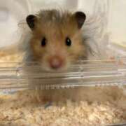 ちとせ センシティブ画像載せ過ぎ案件。 奥鉄オクテツ東京店（デリヘル市場）