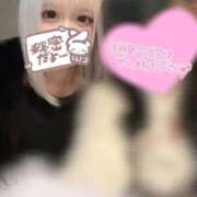 ヒメ日記 2026/04/13 11:53 投稿 ゆあ 松戸角海老岩瀬店