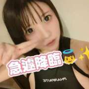 ヒメ日記 2025/01/26 23:46 投稿 白鳥ひより＠緊縛師Gカップ アナラードライ