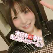 ヒメ日記 2025/04/20 23:16 投稿 白鳥ひより＠緊縛師Gカップ アナラードライ