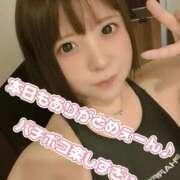 ヒメ日記 2025/06/05 21:29 投稿 白鳥ひより＠緊縛師Gカップ アナラードライ