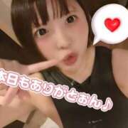 ヒメ日記 2025/06/09 21:40 投稿 白鳥ひより＠緊縛師Gカップ アナラードライ