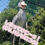 ヒメ日記 2025/07/24 23:56 投稿 白鳥ひより＠緊縛師Gカップ アナラードライ