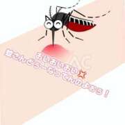 ヒメ日記 2025/08/09 14:52 投稿 白鳥ひより＠緊縛師Gカップ アナラードライ