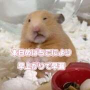 ヒメ日記 2025/11/11 14:03 投稿 白鳥ひより＠緊縛師Gカップ アナラードライ