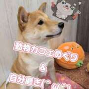 ヒメ日記 2025/11/20 15:55 投稿 白鳥ひより＠緊縛師Gカップ アナラードライ