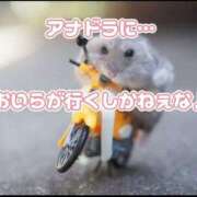 ヒメ日記 2025/12/12 14:43 投稿 白鳥ひより＠緊縛師Gカップ アナラードライ