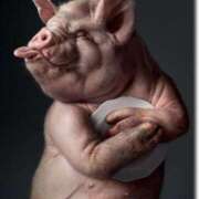 ヒメ日記 2026/02/08 23:05 投稿 白鳥ひより＠緊縛師Gカップ アナラードライ