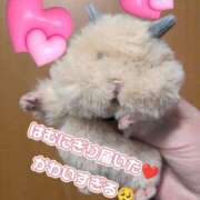 ヒメ日記 2026/06/16 20:25 投稿 白鳥ひより＠緊縛師Gカップ アナラードライ