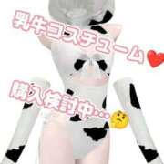 白鳥ひより＠緊縛師Gカップ 悩むなぁ〜🐮 アナラードライ
