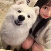 ヒメ日記 2025/01/28 12:04 投稿 ゆい SOPHIA（ソフィア）