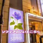ヒメ日記 2025/04/09 12:03 投稿 ゆい SOPHIA（ソフィア）