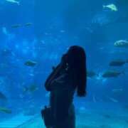 ヒメ日記 2025/05/16 12:04 投稿 ゆい SOPHIA（ソフィア）