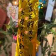 ヒメ日記 2025/06/20 16:03 投稿 ゆい SOPHIA（ソフィア）