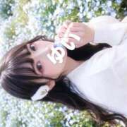 ヒメ日記 2026/04/29 00:13 投稿 ゆい SOPHIA（ソフィア）