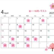 ヒメ日記 2025/04/02 16:32 投稿 ナノハ バニーコレクション千葉栄町店