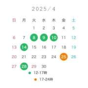 ヒメ日記 2025/04/07 23:20 投稿 エナ バニーコレクション千葉栄町店