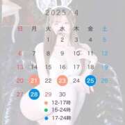 ヒメ日記 2025/04/11 09:01 投稿 エナ バニーコレクション千葉栄町店