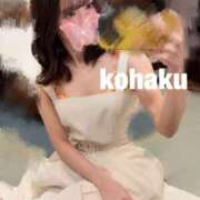 ヒメ日記 2025/11/06 16:48 投稿 こはく フロンティア