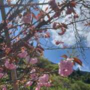 ヒメ日記 2025/04/17 00:47 投稿 りんか【天真爛漫エロ娘♡】 LIPS(リップス)