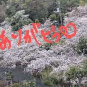 ヒメ日記 2025/04/10 15:06 投稿 れん 変態なんでも鑑定団