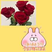 ヒメ日記 2025/03/15 09:31 投稿 えりか 奥鉄オクテツ大阪