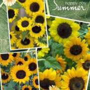 ヒメ日記 2025/07/30 16:27 投稿 えりか 奥鉄オクテツ大阪