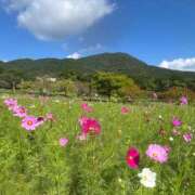 ヒメ日記 2026/10/14 10:53 投稿 えりか 奥鉄オクテツ大阪