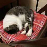ヒメ日記 2026/10/21 23:46 投稿 えりか 奥鉄オクテツ大阪