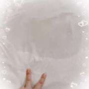 ヒメ日記 2025/04/19 09:07 投稿 かな ちゃんこ千葉東金店