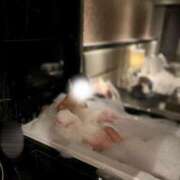 ヒメ日記 2025/02/20 20:19 投稿 中条あや ウルトラハピネス