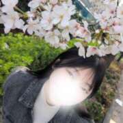 ヒメ日記 2025/04/06 15:19 投稿 中条あや ウルトラハピネス