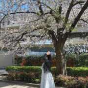 ヒメ日記 2026/04/08 12:10 投稿 中条あや ウルトラハピネス