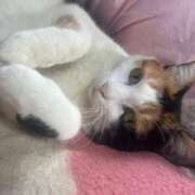 ヒメ日記 2025/02/22 12:04 投稿 ゆら 奥様鉄道69 岡山店