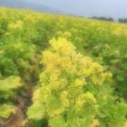 ヒメ日記 2026/02/05 19:19 投稿 ゆら 奥様鉄道69 岡山店