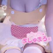 ヒメ日記 2025/02/17 02:17 投稿 にこる ラズベリードール