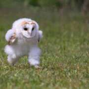 ヒメ日記 2025/03/03 21:29 投稿 にこる ラズベリードール